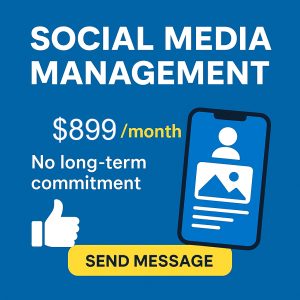 Professional Plan (Full Growth & Performance)